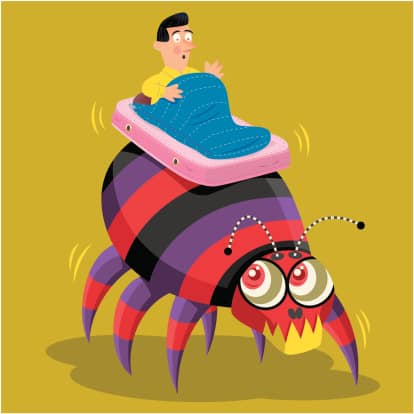 Top 4 Bed Bugs Myths