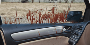 Blood on Car Window