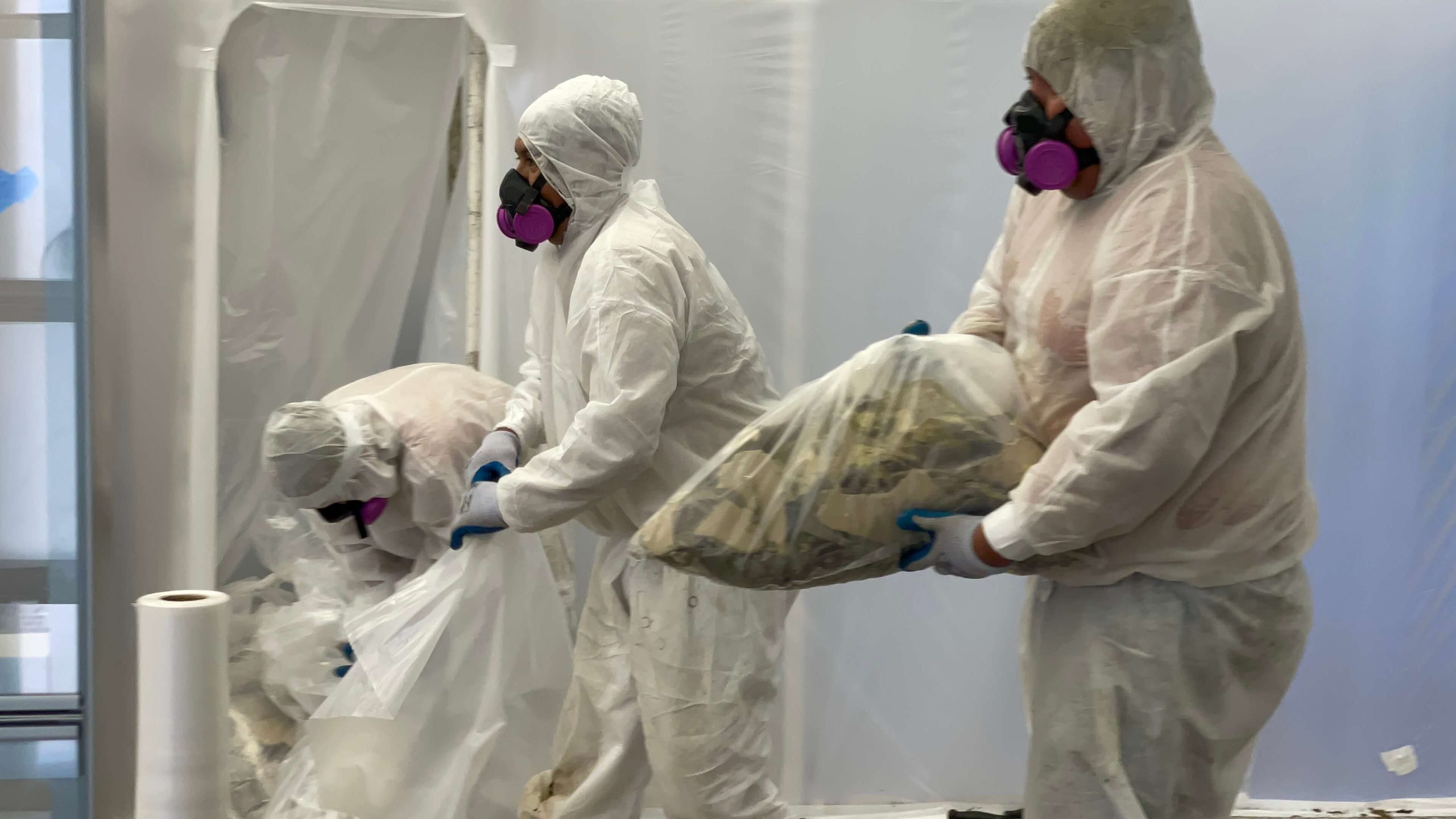 Professionals Removing Asbestos