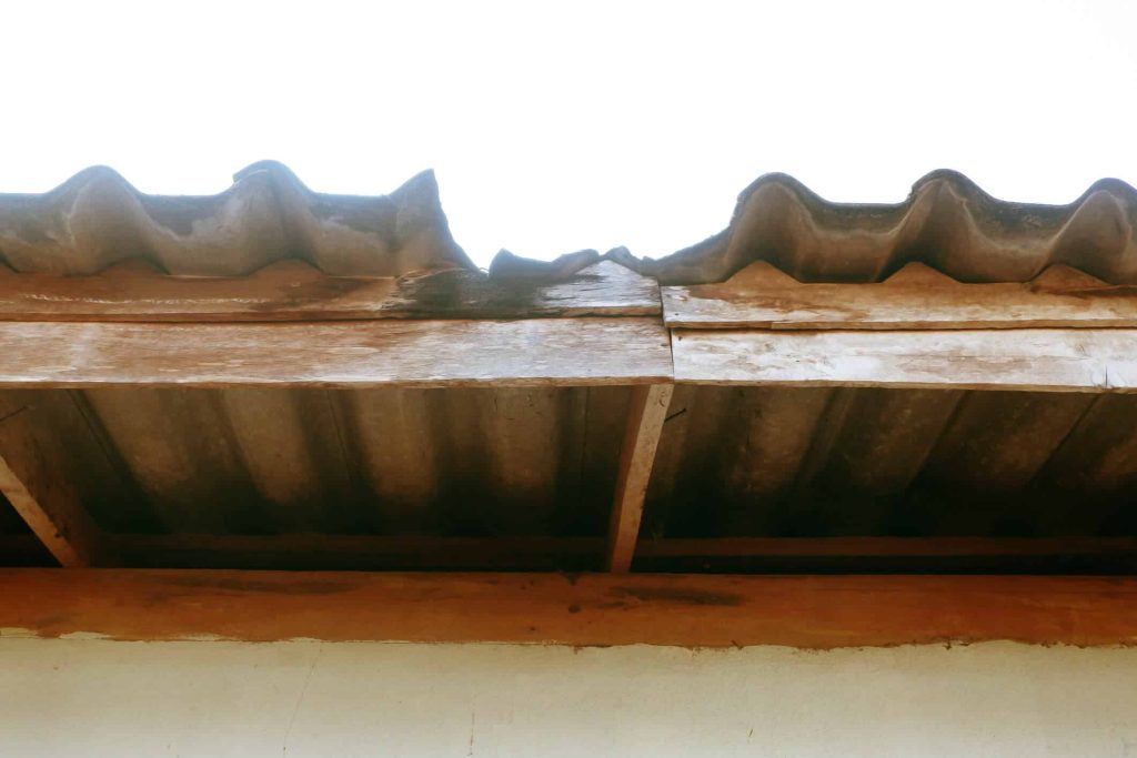 Understanding Mold and Apartment Mold Laws Alliance Enviro