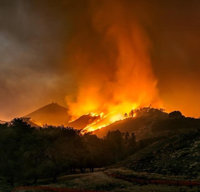 Cleaning Up After a Wild Fire Disaster