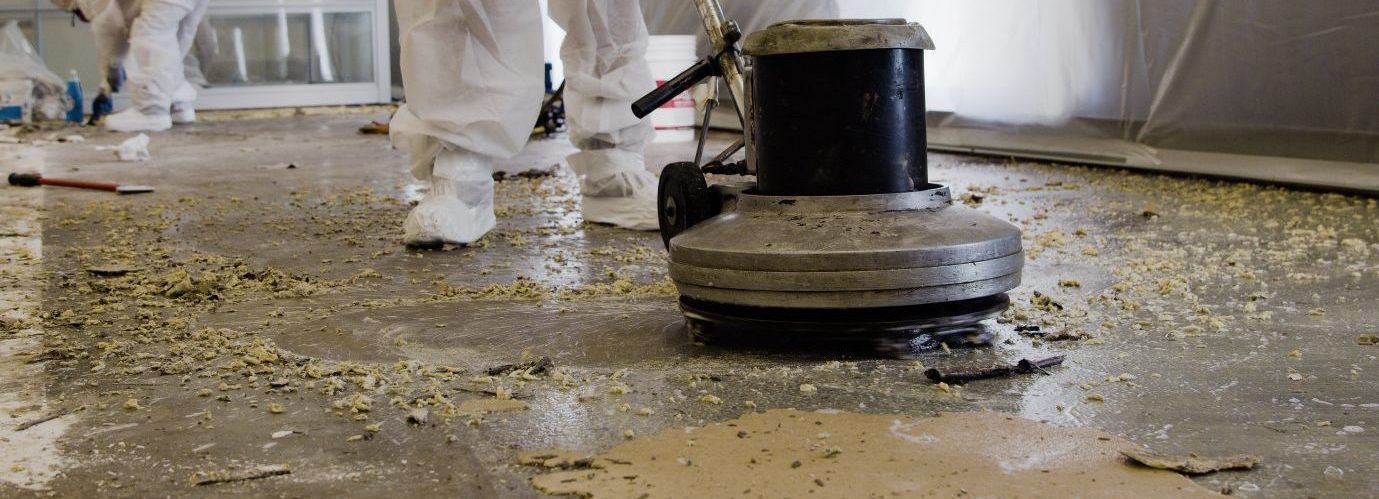 Industrial Mold Remediation Services in CA, NV, AZ & WA