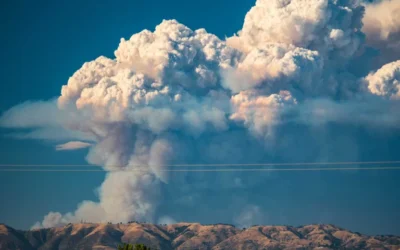 The Hidden Dangers of Hazardous Materials Spread During Wildfires
