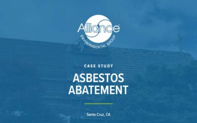 Asbestos Abatement
