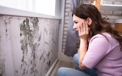 The Long-Term Effects of Mold Exposure and Steps to Take if Mold is Found in Your Home or Building