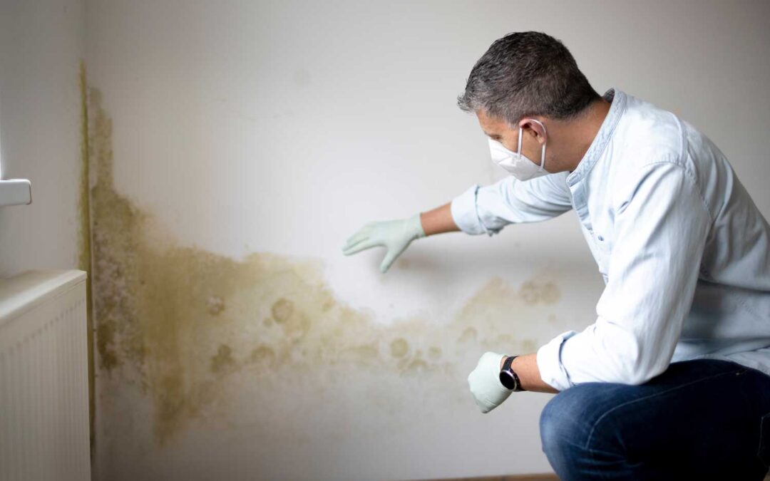 Seasonal Mold Prevention Tips: What to Do in Each Season