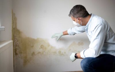 Seasonal Mold Prevention Tips: What to Do in Each Season