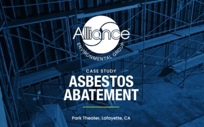 Creative Asbestos Abatement at the Historic Park Theater