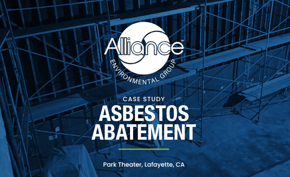 Creative Asbestos Abatement at the Historic Park Theater