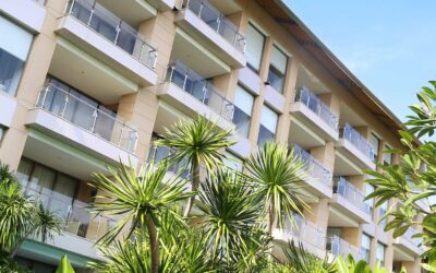 Commercial Property Mold: When Tenant Complaints Require Professional Evaluation